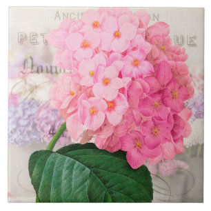 Carreau Carrelage en céramique Redoute rose vintage