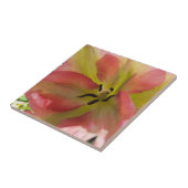 Carreau Carrelage en céramique rose et jaune (Côté)