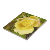 Carreau Carrelage en céramique Rosebud jaune (Côté)