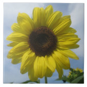 Carreau Carrelage en céramique - Sunflower Summer Sky (Devant)