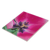 Carreau Carrelage en céramique Tulip rose (Côté)