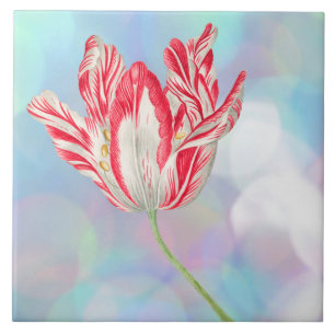 Carreau Carrelage en céramique Tulip vintage