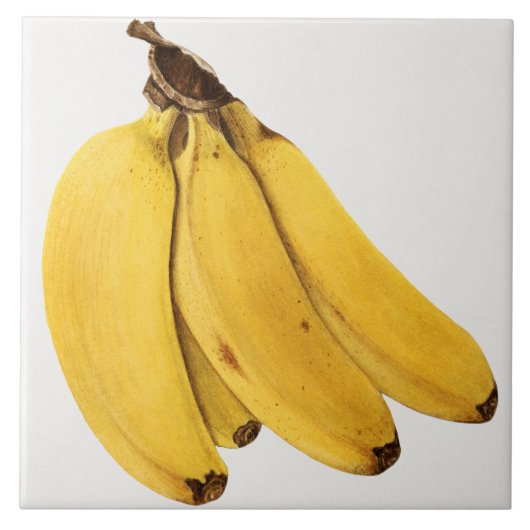 Carreau Carrelage en céramique vintage (Devant)