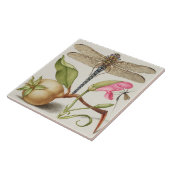 Carreau Carrelage en céramique vintage (Côté)