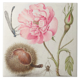 Carreau Carrelage en céramique vintage