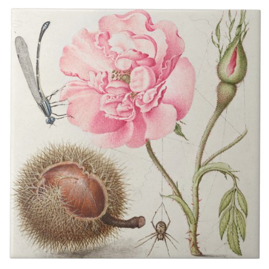 Carreau Carrelage en céramique vintage (Devant)