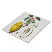 Carreau Carrelage en céramique vintage (Côté)