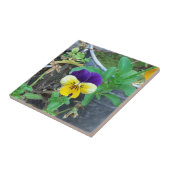 Carreau Carrelage en céramique violet et jaune (Côté)