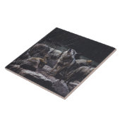 Carreau Carrelage en céramique Wolf Pack (Côté)