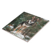 Carreau Carrelage en céramique Wolfdog (Côté)