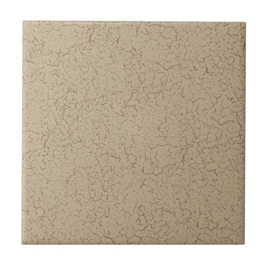 Carreau Carrelage en crépi beige (Devant)