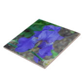 Carreau Carrelage en iris bleu (Côté)