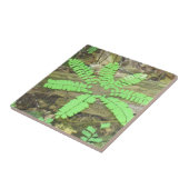 Carreau Carrelage Fern (Côté)