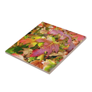 Carreau Carrelage 'Feuilles d'automne'/Trivet