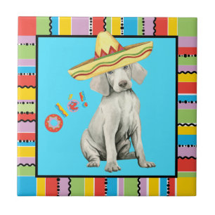 Carreau Carrelage Fiesta Weimaraner