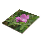 Carreau Carrelage Fleur sauvage Campion rouge (Côté)