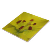 Carreau Carrelage fleuri Lily Jaune (Côté)