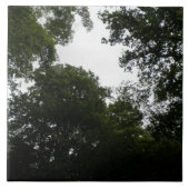 Carreau Carrelage forestier déplaisant (Devant)