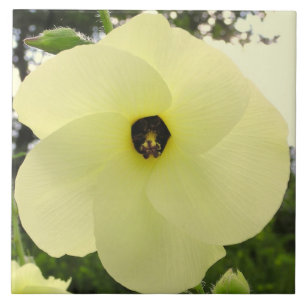 CARREAU CARRELAGE, GRANDE FLEUR JAUNE DE PALE "PINWHEEL"