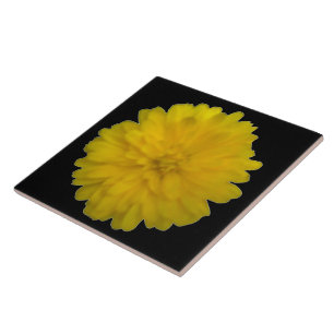 Carreau Carrelage jaune Marigold