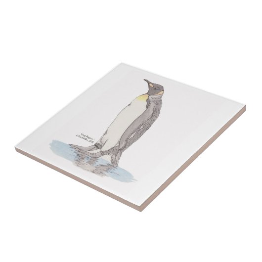 Carreau Carrelage King Penguin (Côté)