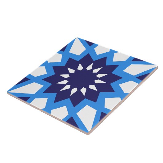 Carreau Carrelage Marocain Bleu Et Blanc Motif En Céramiqu (Côté)
