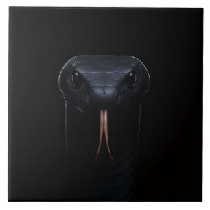 Carreau Carrelage noir 4 Luxe avec Black Mamba Elegance