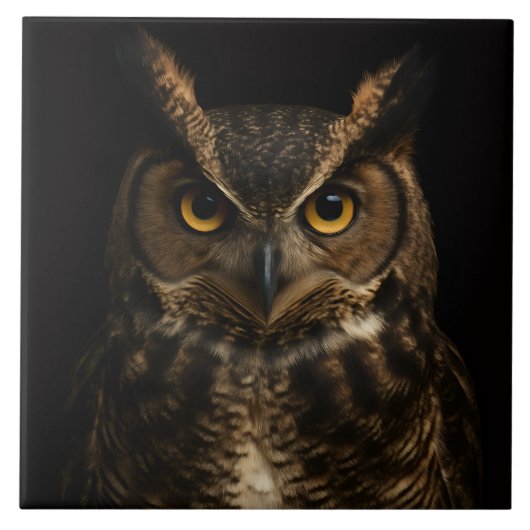 Carreau Carrelage noir 4 Luxe avec hibou doré (Devant)