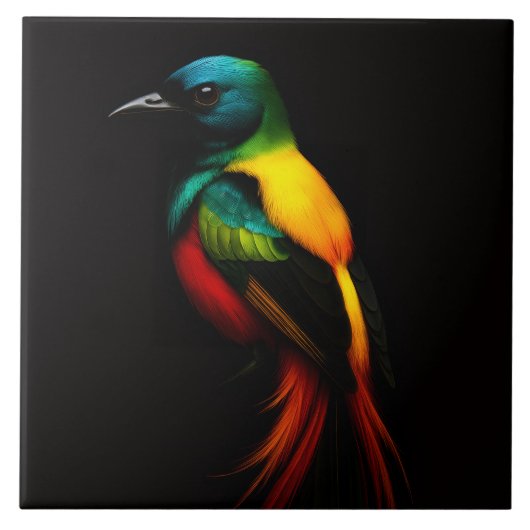 Carreau Carrelage noir 4 Luxe avec Rainbow Tail Oiseau tro (Devant)