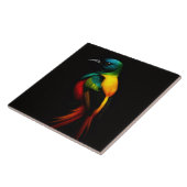 Carreau Carrelage noir 4 Luxe avec Rainbow Tail Oiseau tro (Côté)