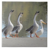 Carreau Carrelage - Oies qui se promènent (Devant)
