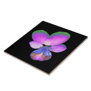 Carreau Carrelage Pansy