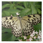 Carreau Carrelage Papier Papier Papillon (Devant)