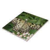 Carreau Carrelage Papier Papier Papillon (Côté)