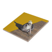 Carreau Carrelage - Pélican sur la promenade (Côté)