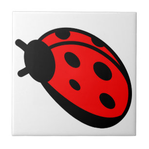 Carreau Carrelage photo en céramique Ladybug Small (4,25 p