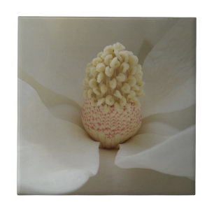 Carreau Carrelage photo en céramique Magnolia Small (4,25
