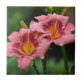 Carreau Carrelage rose (Devant)