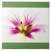 Carreau Carrelage rose (Devant)