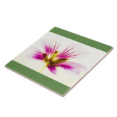 Carreau Carrelage rose (Côté)