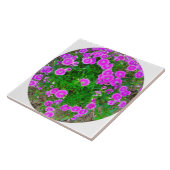 Carreau Carrelage rose Dianthus (Côté)