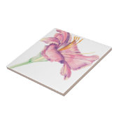 Carreau Carrelage rose pâle (Côté)