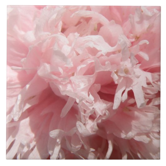 Carreau Carrelage rose pâle (Devant)