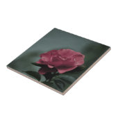 Carreau Carrelage Royal Blush (Côté)