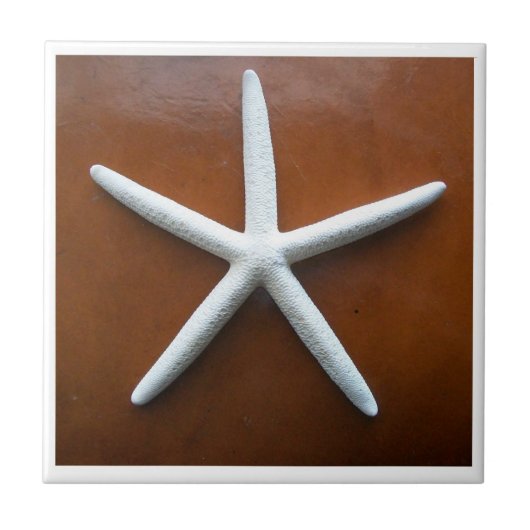 Carreau Carrelage Sea Star (Devant)