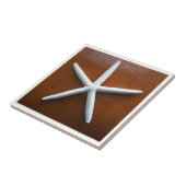 Carreau Carrelage Sea Star (Côté)