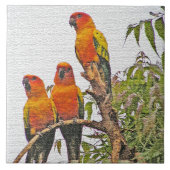 CARREAU CARRELAGE/TRIVET, TROIS PARROTS ORANGE (MANIP NUMÉ (Devant)