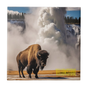 Carreau Carrelage Trivet-Yellowstone Buffalo