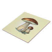 Carreau Carrelage vintage en céramique (Côté)