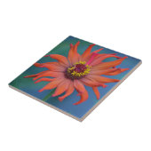 Carreau Carrelage Zippy Zinnia (Côté)